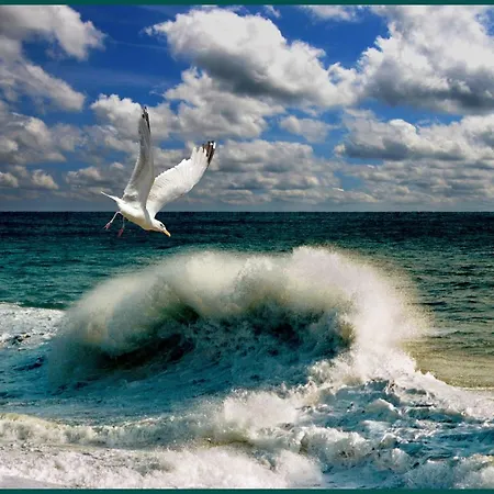 דירה Biancoeblu By Affitti Brevi Liguria