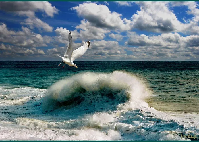 דירה Biancoeblu By Affitti Brevi Liguria